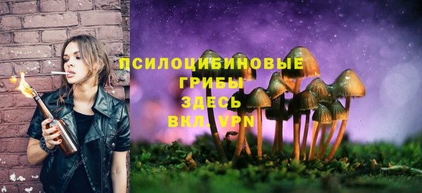 гашик Волоколамск