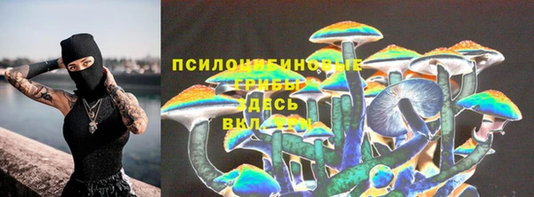 гидра Волосово